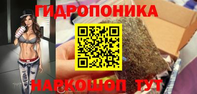 сатива Гатчина