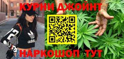 сатива Гатчина