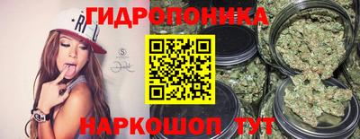 мдма Гусев