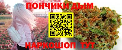 сатива Гатчина