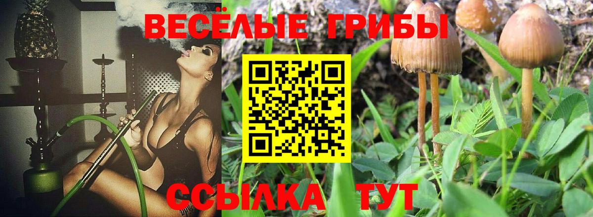 Псилоцибиновые грибы Magic Shrooms  продажа наркотиков  Кирово-Чепецк  Вход с VPN 